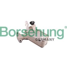 Acquista Radiatore olio, Cambio automatico da Borsehung B10879 a buon mercato per soli 91,78 €