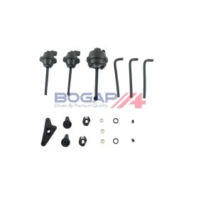 Dichtungssatz, Ansaugkrümmer C2816102 von BOGAP günstig für 60,01 € online kaufen