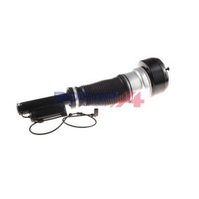 Luftfederbein C3426108 von BOGAP günstig für 455,61 € online kaufen