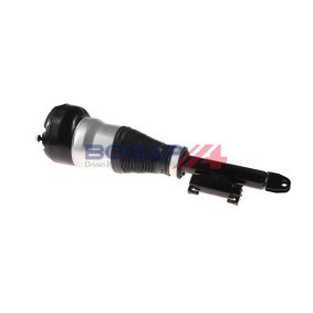 Luftfederbein C3426112 von BOGAP günstig für 512,74 € online kaufen