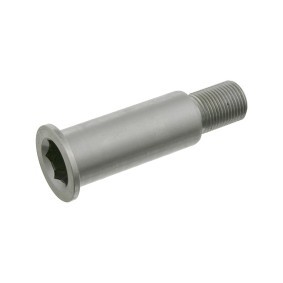 Lagerzapfen, Spannrollenhebel 01963 von FEBI BILSTEIN günstig für 21,43 € online kaufen