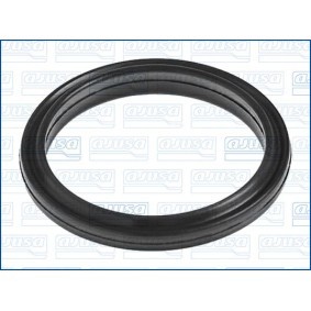 Compre Junta, flange do líquido de refrigeração da AJUSA 01743400 a um preço baixo por 7,53 €