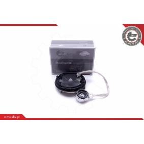 Scheinwerfer-Steuergerät 59SKV062 von ESEN SKV günstig für 61,10 € online kaufen