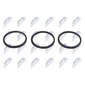 Comprar Junta, ajuste árbol de levas de NTY ENK-VW-011 a bajo precio de 10,17 €