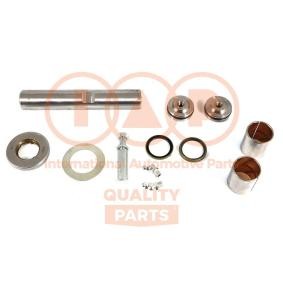 Køb Rep.sæt, styrebolt af IAP QUALITY PARTS 415-13170K til den lave pris 1418,98 DKK