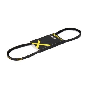 Keilriemen 10C0021P von RIDEX PLUS günstig für 5,56 € online kaufen