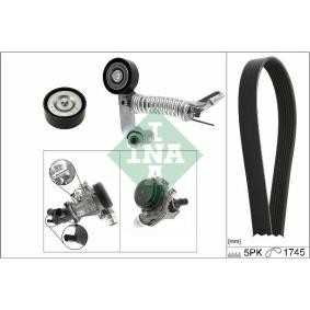 Achetez des Pompe à eau+Jeu de courroie trapézoïdale à nervures INA 529 0319 30 à prix pour 324,58 €