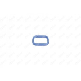 Acquista Guarnizione, Collettore aspirazione da IBRAS 19385 a buon mercato per soli 7,04 €