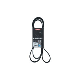 Achetez des Courroie Poly-V KAMOKA 7016201 à prix pour 18,95 €