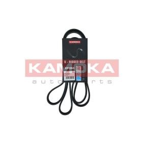 Achetez des Courroie Poly-V KAMOKA 7016203 à prix pour 19,03 €