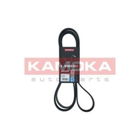 Achetez des Courroie Poly-V KAMOKA 7016205 à prix pour 19,72 €