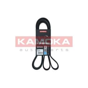 Achetez des Courroie Poly-V KAMOKA 7016231 à prix pour 22,00 €