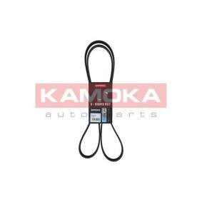 Achetez des Courroie Poly-V KAMOKA 7016235 à prix pour 21,59 €