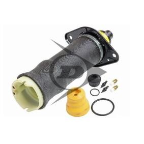 Luftfeder, Fahrwerk für AUDI von Dunlop Airsuspension