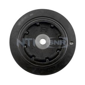 Riemenscheibe, Kurbelwelle DPF355.09 von SNR günstig für 38,01 € online kaufen