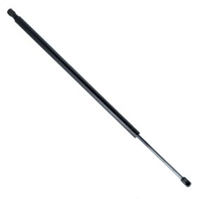 Köp Gasfjäder till baklucka av EINPARTS EP9461GS till det låga priset 170,51 kr