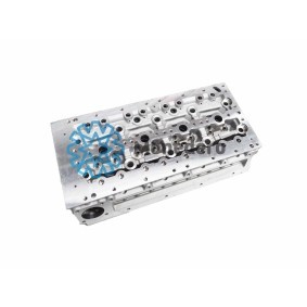 Acquista Testata motore da MONEDERO 30012000025 a buon mercato per soli 510,60 €