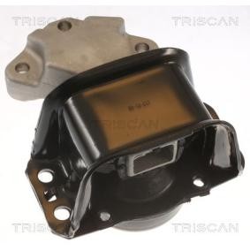 Acquista Supporto motore da TRISCAN 8505 28100 a buon mercato per soli 68,42 €