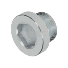 Comprar Tapón roscado, caja cambios de SWAG 33 10 8297 a bajo precio de 9,48 €