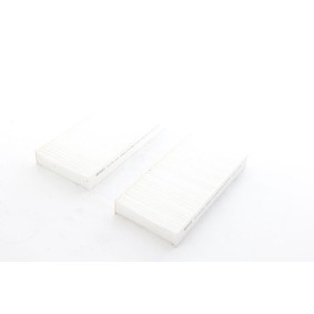Køb Pollenfilter af BSG BSG 15-145-023 til den lave pris 184,37 DKK