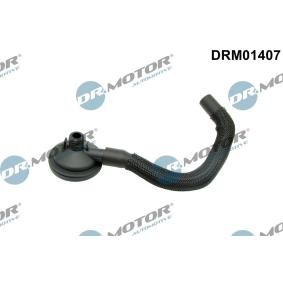 Comprar Válvula, ventilación cárter de DR.MOTOR AUTOMOTIVE DRM01407 a bajo precio de 31,65 €