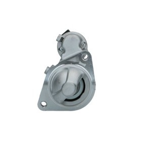 Anlasser 250.523.102.208 von BV PSH günstig für 96,12 € online kaufen