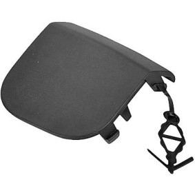 Klappe, Abschlepphaken 3498064 von DIEDERICHS günstig für 41,59 € online kaufen