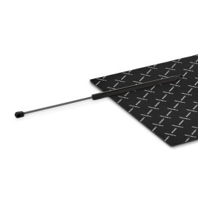 Compre Amortecedor da mala da RIDEX 219G1209 a um preço baixo por 11,08 €