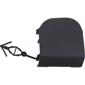 Klappe, Abschlepphaken 3498063 von DIEDERICHS günstig für 25,17 € online kaufen