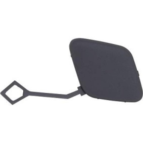 Klappe, Abschlepphaken 4098064 von DIEDERICHS günstig für 25,70 € online kaufen