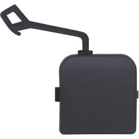 Klappe, Abschlepphaken 4098066 von DIEDERICHS günstig für 26,23 € online kaufen