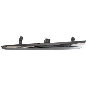 Zierleiste, Stoßstange 6607335 von DIEDERICHS günstig für 31,78 € online kaufen