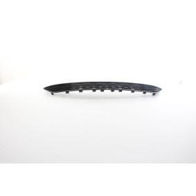 Lüftungsgitter, Stoßfänger BSG 25-922-026 von BSG günstig für 44,42 € online kaufen