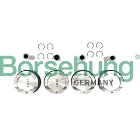 Kolbenringsatz B11136 von Borsehung günstig für 330,30 € online kaufen