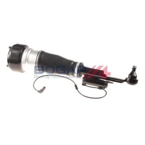 Luftfederbein C3426119 von BOGAP günstig für 509,61 € online kaufen