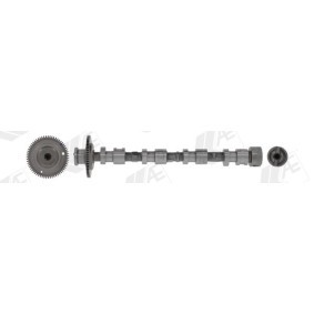 Nockenwelle CAM1035 von AE günstig für 244,60 € online kaufen