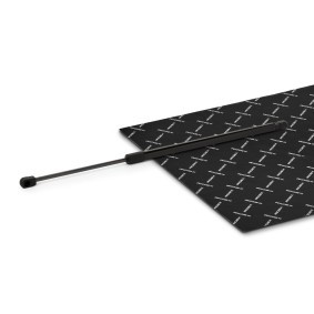 Compre Amortecedor da mala da RIDEX 219G1382 a um preço baixo por 19,82 €
