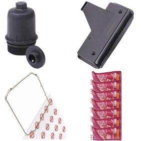 Acquista Kit tagliando cambio automatico da RIDEX 4921O0090 a buon mercato per soli 66,24 €