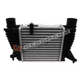 Köp Intercooler av GT-BERGMANN GT12-028 till det låga priset 1200,05 kr