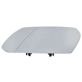 Acquista Griglia paraurti da BLIC 6502-07-0915911P a buon mercato per soli 22,70 €