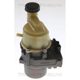 Comprar Bomba de dirección de TRISCAN 8515 25652 a bajo precio de 422,45 €