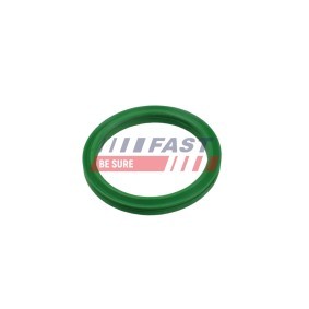 Acquista Guarnizione, Condotto d. refrigerante da FAST FT49927 a buon mercato per soli 1,82 €