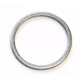 Dichtring 079.820