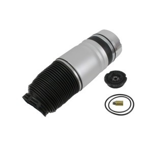 Compre Fole, suspensão pneumática da ABAKUS 131-02-116 a um preço baixo por 161,57 €