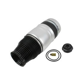 Compre Fole, suspensão pneumática da ABAKUS 131-02-203 a um preço baixo por 218,22 €