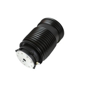 Acquista Soffietto, Sospensione pneumatica da ABAKUS 131-02-316 a buon mercato per soli 176,07 €