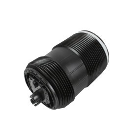 Compre Fole, suspensão pneumática da ABAKUS 131-02-317 a um preço baixo por 137,11 €