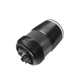 Compre Fole, suspensão pneumática da ABAKUS 131-02-318 a um preço baixo por 137,11 €