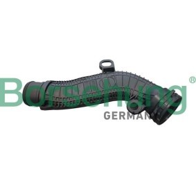 Comprar Tubo flexible, ventilación bloque motor de Borsehung B12348 a bajo precio de 57,17 €