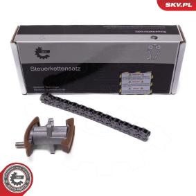 Steuerkettensatz 21SKV269 von ESEN SKV günstig für 117,30 € online kaufen